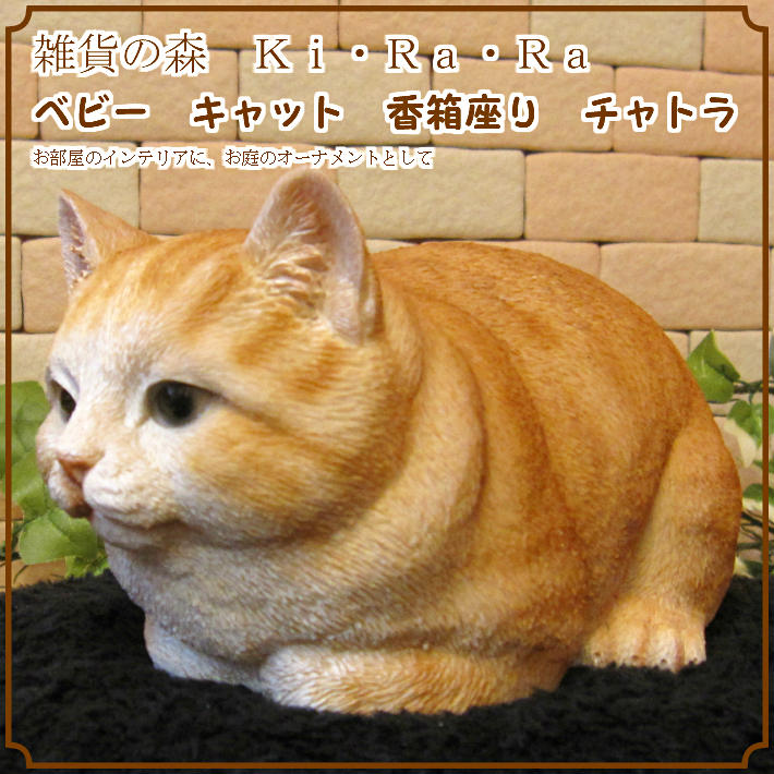 ꥢʤͤʪ٥ӡåȡȢ¤ꡡȥ顡쥸ͥΥեǭΥ֥ǥ˥󥰡Υƥꥢ˥ǥ˥󥰤Ǻ