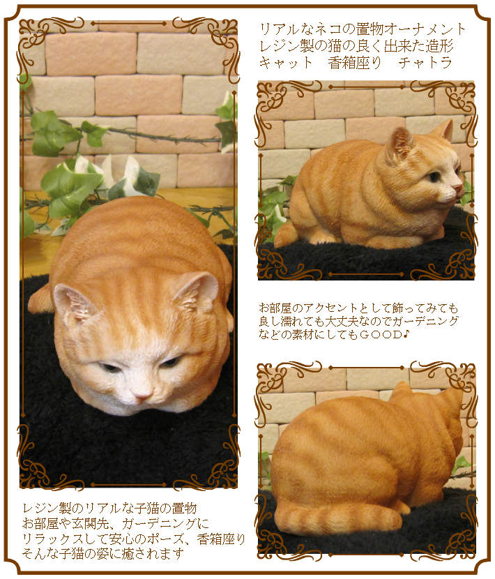 ꥢʤͤʪ٥ӡåȡȢ¤ꡡȥ顡쥸ͥΥեǭΥ֥ǥ˥󥰡Υƥꥢ˥ǥ˥󥰤Ǻ