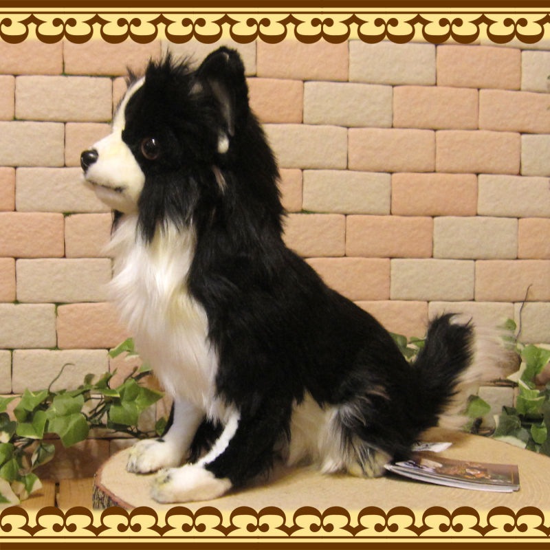 �����֥�å����ۥ磻�ȡ��ɥå����֥������ꥢ��ʸ��Τ̤�����ߡ����̤���ʪ�����̤Υե����奢������ƥꥢ