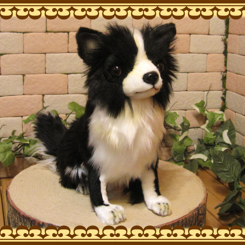 �����֥�å����ۥ磻�ȡ��ɥå����֥������ꥢ��ʸ��Τ̤�����ߡ����̤���ʪ�����̤Υե����奢������ƥꥢ