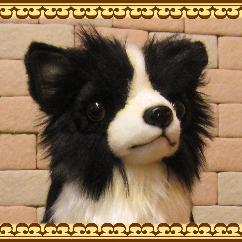 �����֥�å����ۥ磻�ȡ��ɥå����֥������ꥢ��ʸ��Τ̤�����ߡ����̤���ʪ�����̤Υե����奢������ƥꥢ