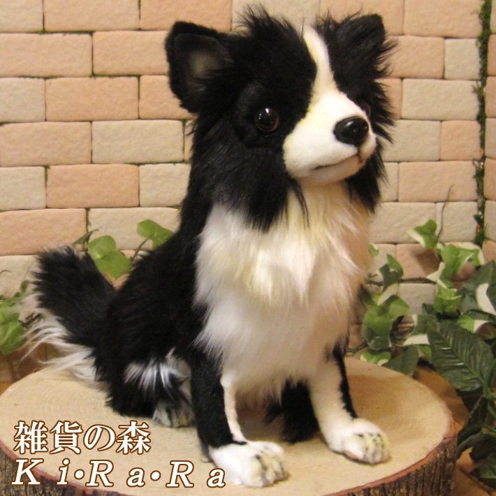 �����֥�å����ۥ磻�ȡ��ɥå����֥������ꥢ��ʸ��Τ̤�����ߡ����̤���ʪ�����̤Υե����奢������ƥꥢ