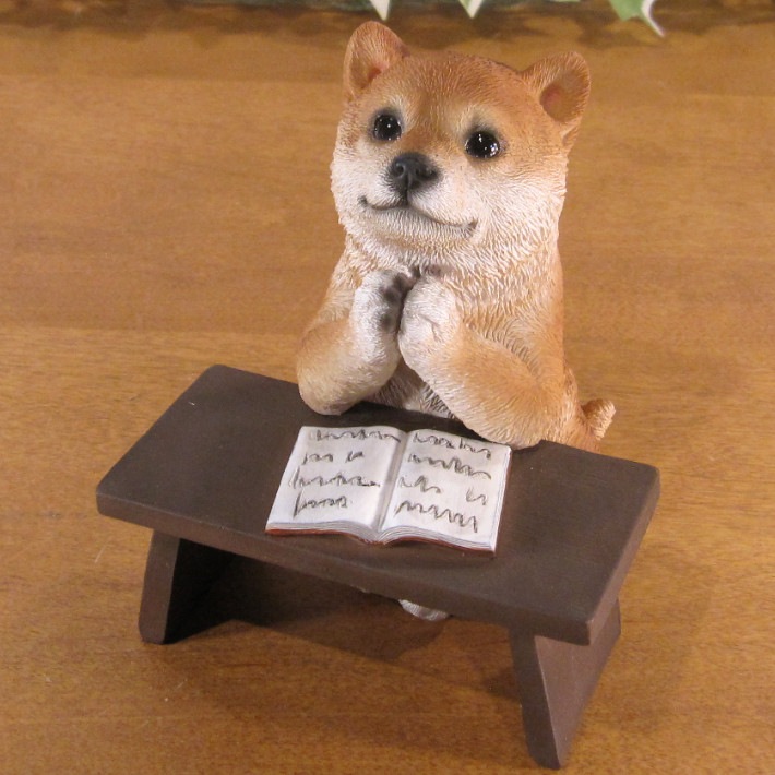 ������ʪ �ꥢ�롡�Ƹ����ٶ��桪�����ꤤ�����̡�ưʪ���֥����������ǥ󡡥����ʥ��ȡ�Ź�ޡ������󥿡������������֥���������ƥꥢ�������衡��