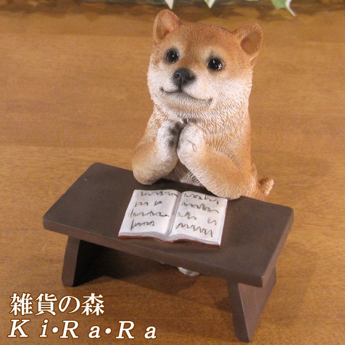 ������ʪ �ꥢ�롡�Ƹ����ٶ��桪�����ꤤ�����̡�ưʪ���֥����������ǥ󡡥����ʥ��ȡ�Ź�ޡ������󥿡������������֥���������ƥꥢ�������衡��