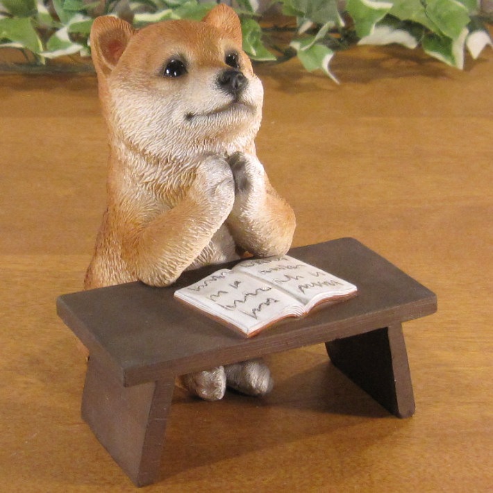 ������ʪ �ꥢ�롡�Ƹ����ٶ��桪�����ꤤ�����̡�ưʪ���֥����������ǥ󡡥����ʥ��ȡ�Ź�ޡ������󥿡������������֥���������ƥꥢ�������衡��