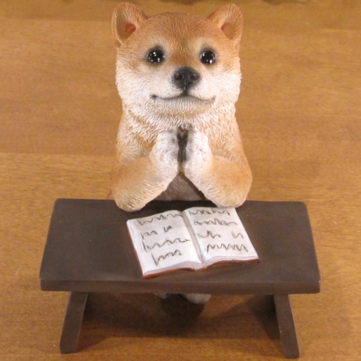 ������ʪ �ꥢ�롡�Ƹ����ٶ��桪�����ꤤ�����̡�ưʪ���֥����������ǥ󡡥����ʥ��ȡ�Ź�ޡ������󥿡������������֥���������ƥꥢ�������衡��