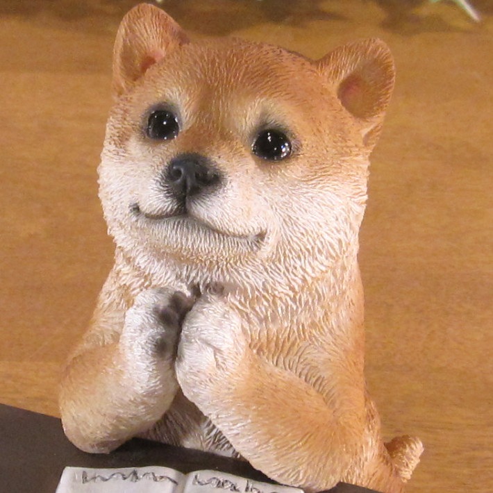 ������ʪ �ꥢ�롡�Ƹ����ٶ��桪�����ꤤ�����̡�ưʪ���֥����������ǥ󡡥����ʥ��ȡ�Ź�ޡ������󥿡������������֥���������ƥꥢ�������衡��