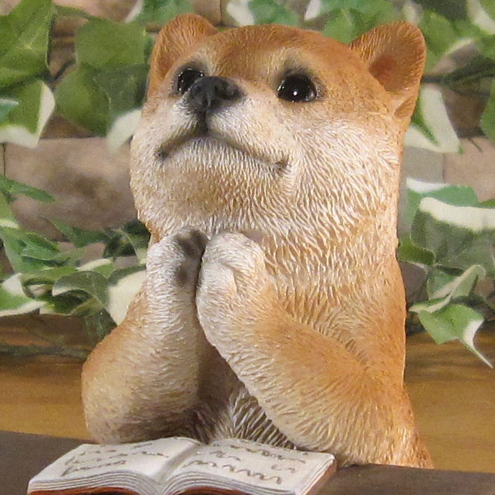 ������ʪ �ꥢ�롡�Ƹ����ٶ��桪�����ꤤ�����̡�ưʪ���֥����������ǥ󡡥����ʥ��ȡ�Ź�ޡ������󥿡������������֥���������ƥꥢ�������衡��