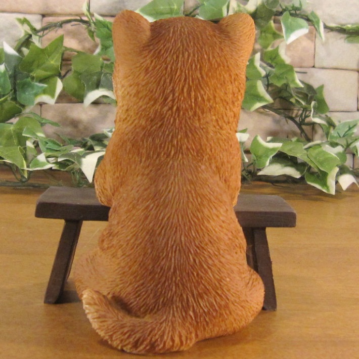 ������ʪ �ꥢ�롡�Ƹ����ٶ��桪�����ꤤ�����̡�ưʪ���֥����������ǥ󡡥����ʥ��ȡ�Ź�ޡ������󥿡������������֥���������ƥꥢ�������衡��