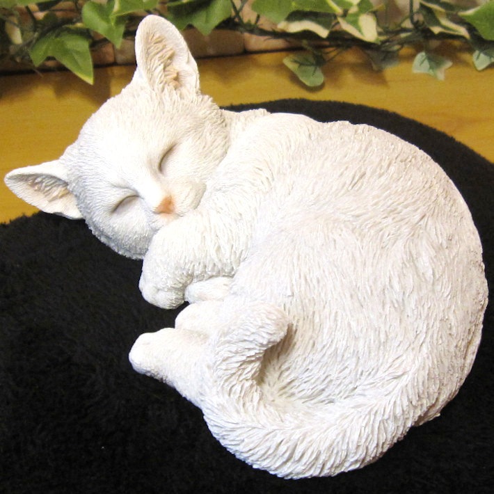 �ꥢ��ʤͤ�����ʪ�����꡼�ԥ󥰡��٥ӡ�����åȡ������ͥ����쥸�����ͥ��Υե�������ǭ�Υ��֥����������ǥ˥󥰡��������Υ���ƥꥢ�˥����ǥ˥󥰤��Ǻ��