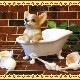 ���������Υ���ƥꥢ�ˤ����Υ����ʥ��ȤȤ��Ƥ�����ꥢ��ʸ�����ʪ���Х����֡��ɥå����������̤Υե����奢�����̤Υ��֥���