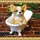 ���������Υ���ƥꥢ�ˤ����Υ����ʥ��ȤȤ��Ƥ�����ꥢ��ʸ�����ʪ���Х����֡��ɥå����������̤Υե����奢�����̤Υ��֥���