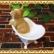 ���������Υ���ƥꥢ�ˤ����Υ����ʥ��ȤȤ��Ƥ�����ꥢ��ʸ�����ʪ���Х����֡��ɥå����������̤Υե����奢�����̤Υ��֥���
