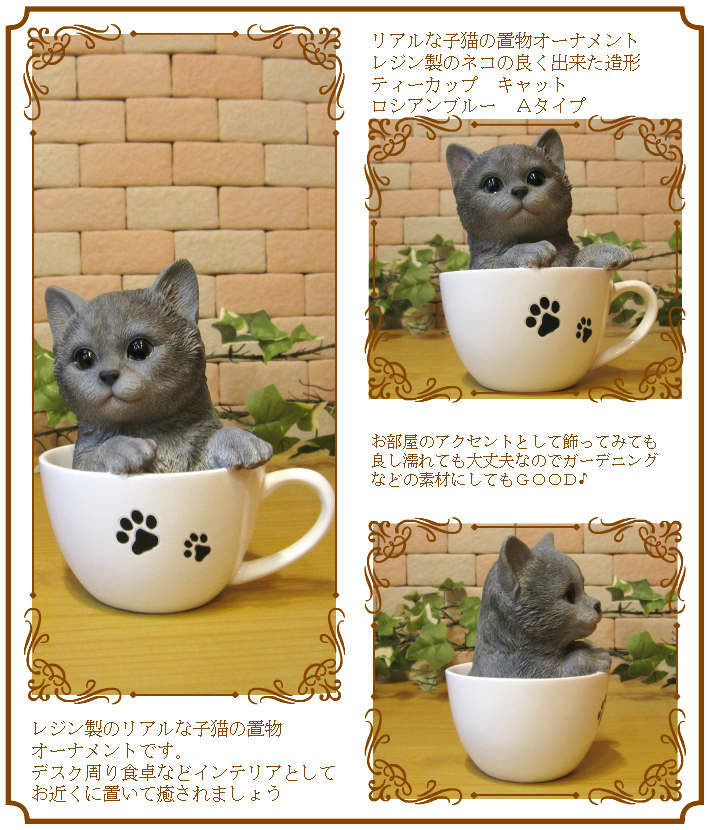 �ꥢ��ʥͥ�����ʪ����������֥롼���ƥ������åס�����åȡ��Ҥͤ��Υե������������ǥ˥󥰡�ǭ�Υ��֥�����������