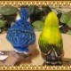 �ꥢ���Ļ�Τ̤�����ߡ����糧�ߡ��᥸�����������åȡ��ȥ����ʪ���С��ɡ����֥���������ƥꥢ���ե����奢