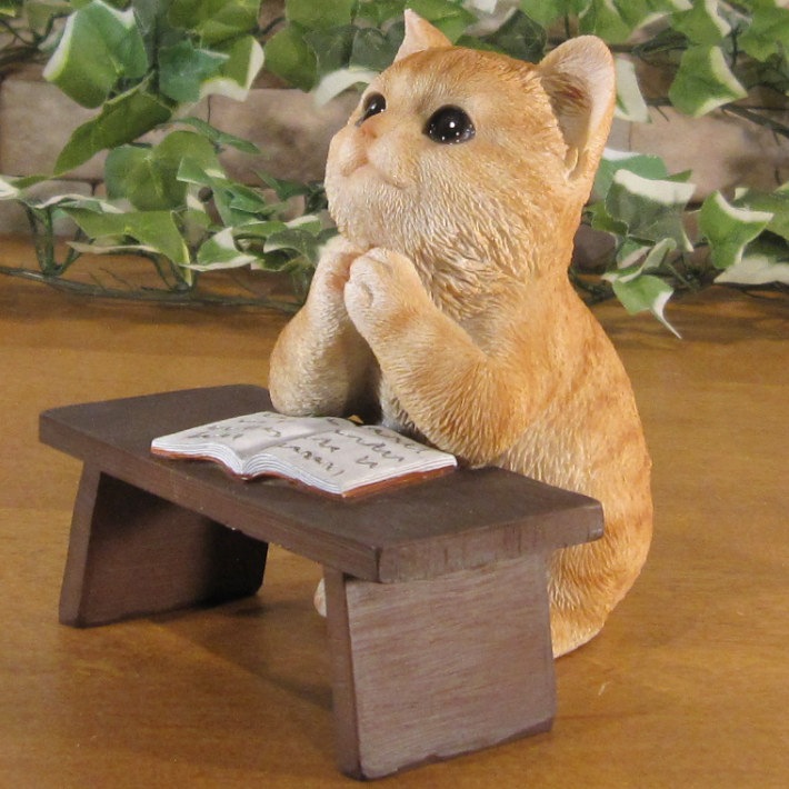 ǭ����ʪ �ꥢ�롡����åȡ��ٶ��桡���ꤤ������ȥ顡�ͤ����ͥ���ưʪ���֥����������ǥ󡡥����ʥ��ȡ�Ź�ޡ������󥿡������������֥���������ƥꥢ�������衡��