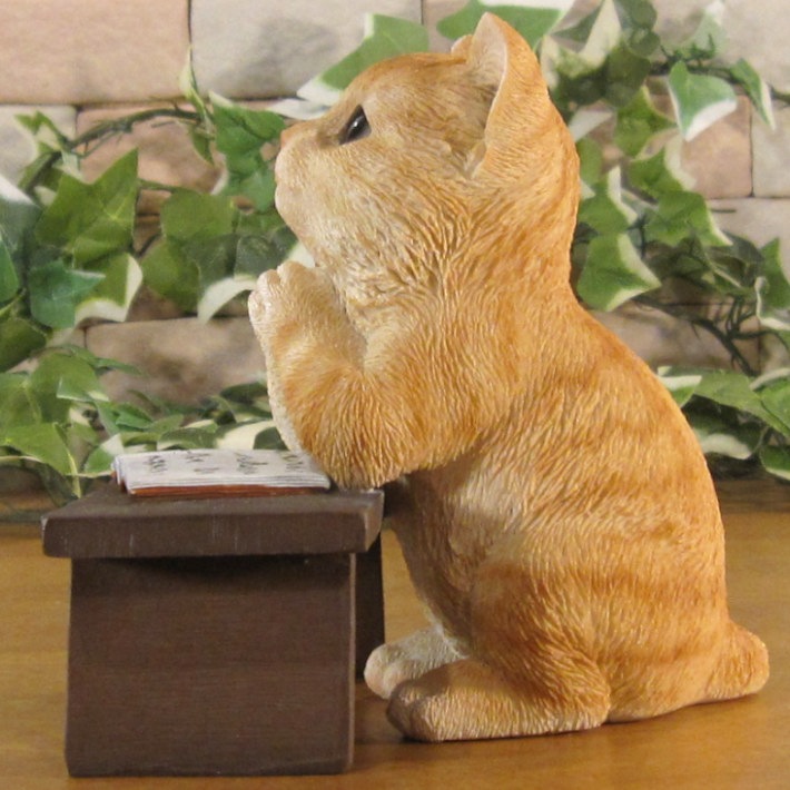 ǭ����ʪ �ꥢ�롡����åȡ��ٶ��桡���ꤤ������ȥ顡�ͤ����ͥ���ưʪ���֥����������ǥ󡡥����ʥ��ȡ�Ź�ޡ������󥿡������������֥���������ƥꥢ�������衡��