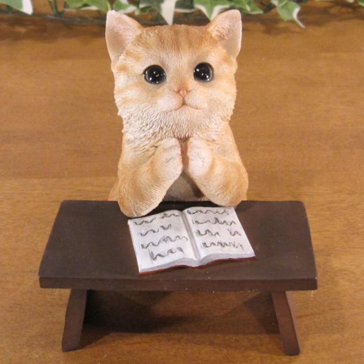 ǭ����ʪ �ꥢ�롡����åȡ��ٶ��桡���ꤤ������ȥ顡�ͤ����ͥ���ưʪ���֥����������ǥ󡡥����ʥ��ȡ�Ź�ޡ������󥿡������������֥���������ƥꥢ�������衡��