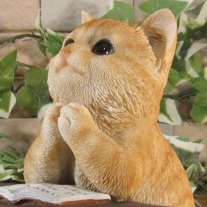 ǭ����ʪ �ꥢ�롡����åȡ��ٶ��桡���ꤤ������ȥ顡�ͤ����ͥ���ưʪ���֥����������ǥ󡡥����ʥ��ȡ�Ź�ޡ������󥿡������������֥���������ƥꥢ�������衡��