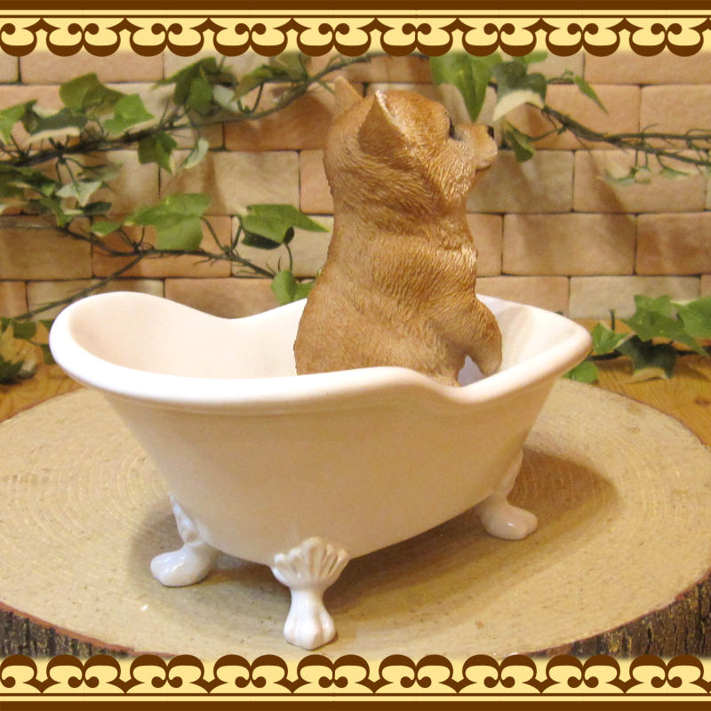 �ꥢ��ʸ�����ʪ���Х����֡��ɥå����Ƹ������̤Υե����奢�����̤Υ��֥������������Υ���ƥꥢ�ˤ����Υ����ʥ��ȤȤ��Ƥ��