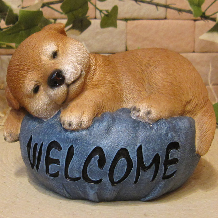 ƸʪҤ̡뿲桡ĥå󡡥̥֥ե奢ǥ˥󥰡ΥƥꥢˤΥʥȤȤƤ