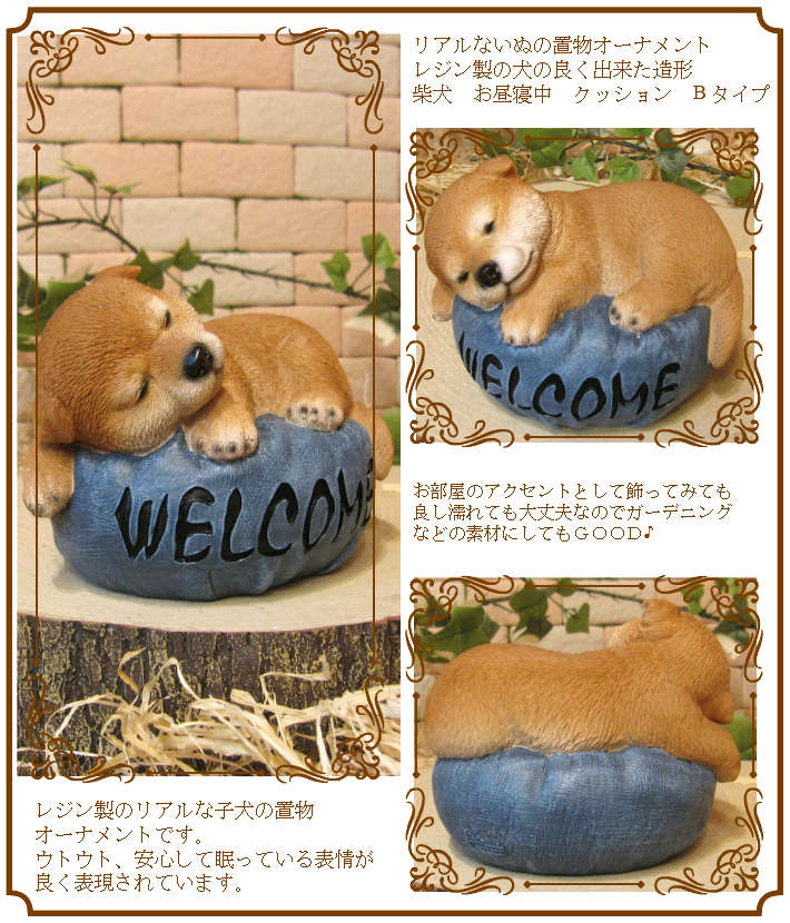 ƸʪҤ̡뿲桡ĥå󡡥̥֥ե奢ǥ˥󥰡ΥƥꥢˤΥʥȤȤƤ