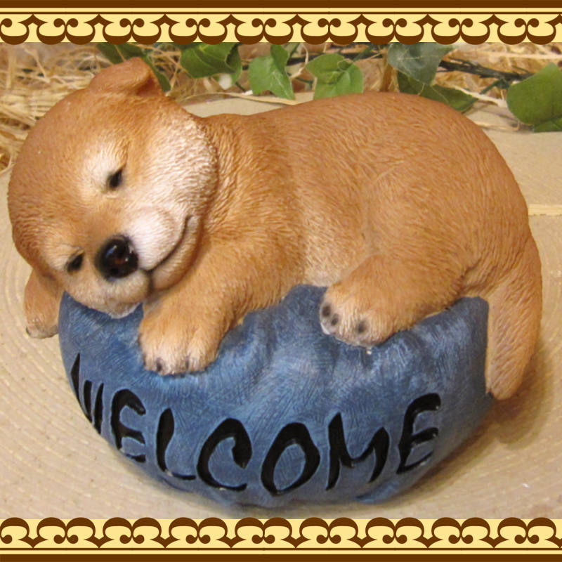 ƸʪҤ̡뿲桡ĥå󡡥̥֥ե奢ǥ˥󥰡ΥƥꥢˤΥʥȤȤƤ