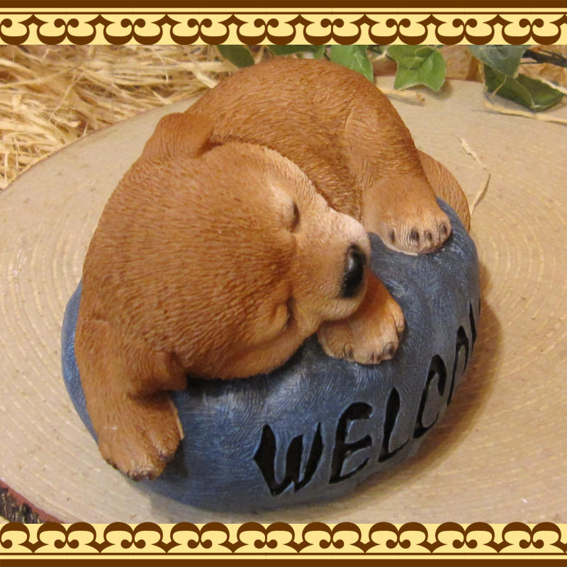 ƸʪҤ̡뿲桡ĥå󡡥̥֥ե奢ǥ˥󥰡ΥƥꥢˤΥʥȤȤƤ