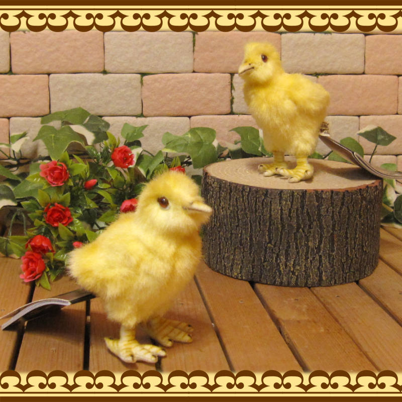�ꥢ���Ļ�Τ̤�����ߡ��ҥ襳���������åȡ��ȥ����ʪ���С��ɡ����֥���������ƥꥢ���ե����奢