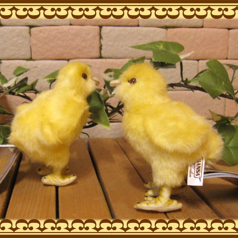 �ꥢ���Ļ�Τ̤�����ߡ��ҥ襳���������åȡ��ȥ����ʪ���С��ɡ����֥���������ƥꥢ���ե����奢