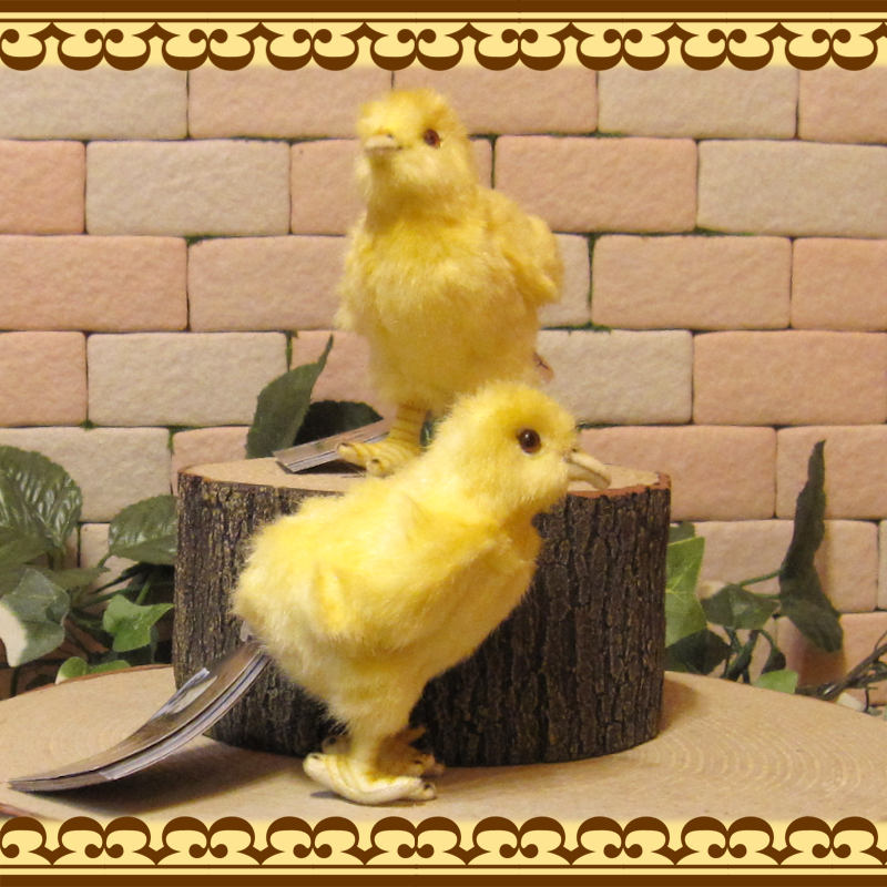 �ꥢ���Ļ�Τ̤�����ߡ��ҥ襳���������åȡ��ȥ����ʪ���С��ɡ����֥���������ƥꥢ���ե����奢