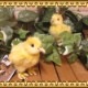 �ꥢ���Ļ�Τ̤�����ߡ��ҥ襳���������åȡ��ȥ����ʪ���С��ɡ����֥���������ƥꥢ���ե����奢
