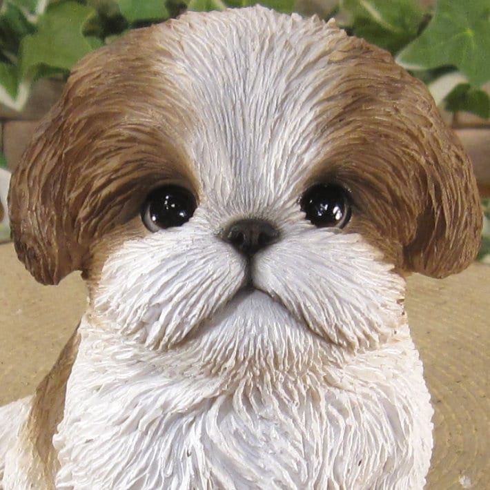 ������ʪ���ƥ����������å����ס��ꥢ��ʸ�����ʪ�����¤� �Ҥ��̡������ǥ�ưʪ���֥����������ǥ󡡥����ʥ��ȡ�Ź�ޡ������󥿡������������֥���������ƥꥢ�������衡��