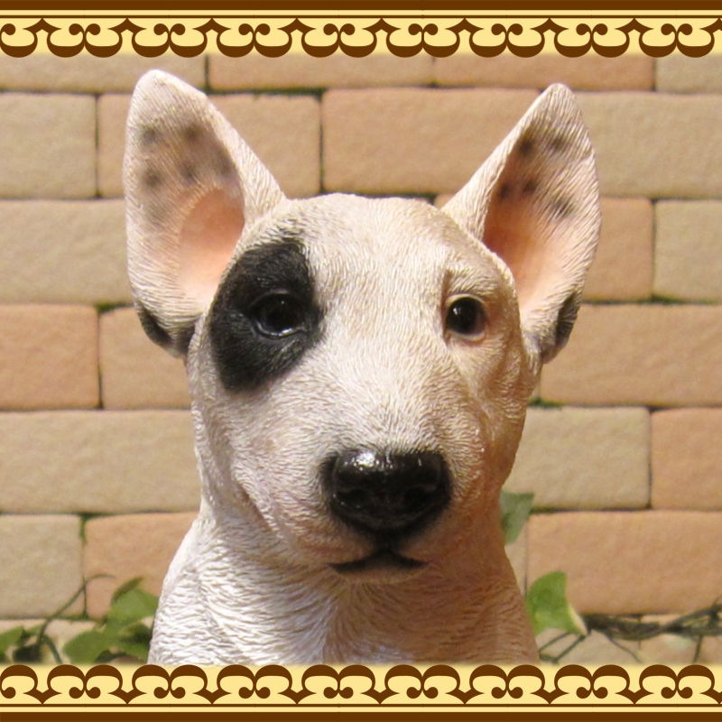 ���������Υ���ƥꥢ�ˤ����Υ����ʥ��ȤȤ��Ƥ�����ꥢ��ʸ�����ʪ���֥�ƥꥢ���Ҥ��̤Υե����������¤�