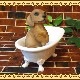 ���������Υ���ƥꥢ�ˤ����Υ����ʥ��ȤȤ��Ƥ�����ꥢ��ʸ�����ʪ���Х����֡��ɥå������å����ե�ȡ����̤Υե����奢�����̤Υ��֥���