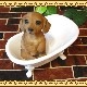 ���������Υ���ƥꥢ�ˤ����Υ����ʥ��ȤȤ��Ƥ�����ꥢ��ʸ�����ʪ���Х����֡��ɥå������å����ե�ȡ����̤Υե����奢�����̤Υ��֥���