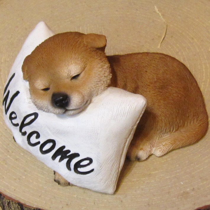 �Ƹ�����ʪ���Ҥ��̡����뿲�桡�򥯥å���󡡥��̥��֥������ե����奢�������ǥ˥󥰡���������������Υ���ƥꥢ�ˤ����Υ����ʥ��ȤȤ��Ƥ����