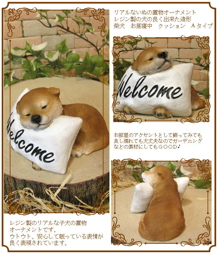 �Ƹ�����ʪ���Ҥ��̡����뿲�桡�򥯥å���󡡥��̥��֥������ե����奢�������ǥ˥󥰡���������������Υ���ƥꥢ�ˤ����Υ����ʥ��ȤȤ��Ƥ����