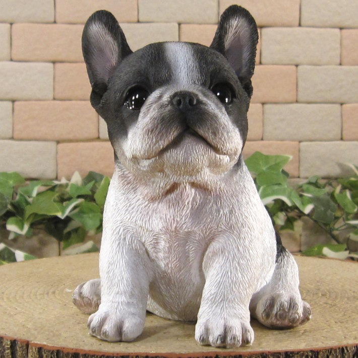 ������ʪ���ƥե����֥�ɥå������¤ꡡ�֥�å����ۥ磻�ȡ��ꥢ��ʸ�����ʪ���Ҥ��̡������ǥ�ưʪ���֥����������ǥ󡡥����ʥ��ȡ�Ź�ޡ������󥿡������������֥���������ƥꥢ�������衡��