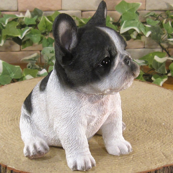 ������ʪ���ƥե����֥�ɥå������¤ꡡ�֥�å����ۥ磻�ȡ��ꥢ��ʸ�����ʪ���Ҥ��̡������ǥ�ưʪ���֥����������ǥ󡡥����ʥ��ȡ�Ź�ޡ������󥿡������������֥���������ƥꥢ�������衡��