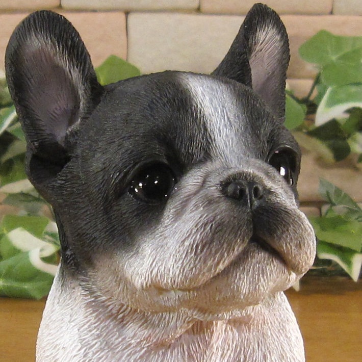 ������ʪ���ƥե����֥�ɥå������¤ꡡ�֥�å����ۥ磻�ȡ��ꥢ��ʸ�����ʪ���Ҥ��̡������ǥ�ưʪ���֥����������ǥ󡡥����ʥ��ȡ�Ź�ޡ������󥿡������������֥���������ƥꥢ�������衡��