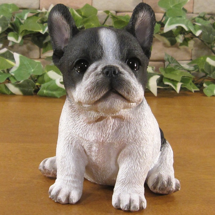 ������ʪ���ƥե����֥�ɥå������¤ꡡ�֥�å����ۥ磻�ȡ��ꥢ��ʸ�����ʪ���Ҥ��̡������ǥ�ưʪ���֥����������ǥ󡡥����ʥ��ȡ�Ź�ޡ������󥿡������������֥���������ƥꥢ�������衡��