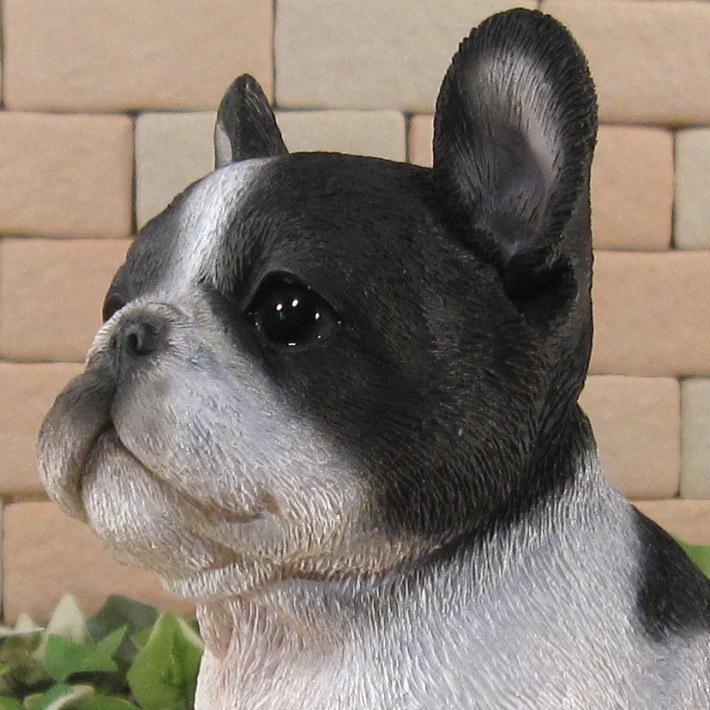 ������ʪ���ƥե����֥�ɥå������¤ꡡ�֥�å����ۥ磻�ȡ��ꥢ��ʸ�����ʪ���Ҥ��̡������ǥ�ưʪ���֥����������ǥ󡡥����ʥ��ȡ�Ź�ޡ������󥿡������������֥���������ƥꥢ�������衡��