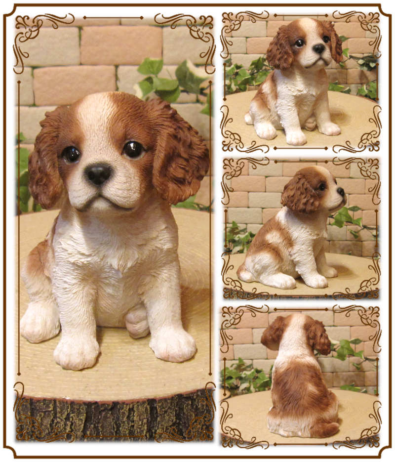 ΥƥꥢˤΥʥȤȤƤꥢʸʪХꥢҤ̤Υե¤ꡡХꥢ󥰡㡼륺ѥ˥