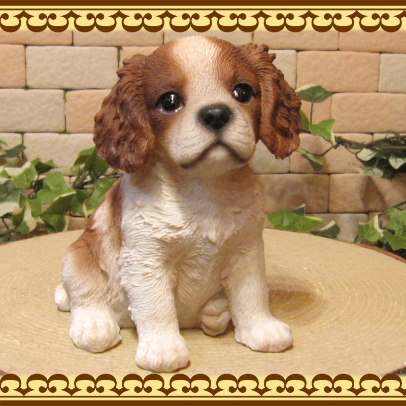 ΥƥꥢˤΥʥȤȤƤꥢʸʪХꥢҤ̤Υե¤ꡡХꥢ󥰡㡼륺ѥ˥