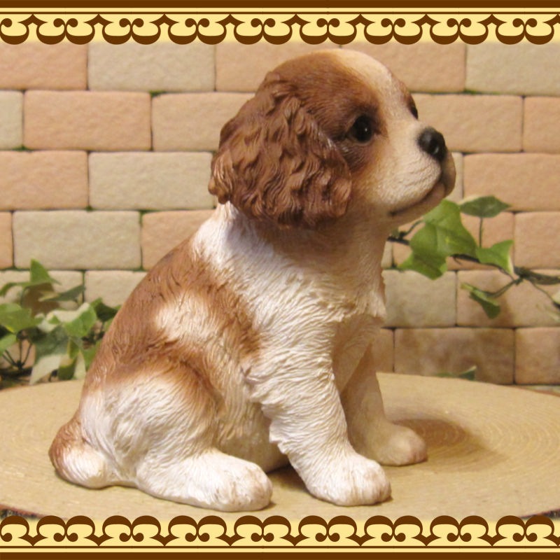 ΥƥꥢˤΥʥȤȤƤꥢʸʪХꥢҤ̤Υե¤ꡡХꥢ󥰡㡼륺ѥ˥