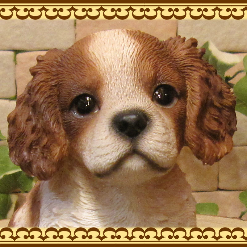 ΥƥꥢˤΥʥȤȤƤꥢʸʪХꥢҤ̤Υե¤ꡡХꥢ󥰡㡼륺ѥ˥