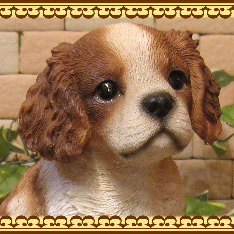 ΥƥꥢˤΥʥȤȤƤꥢʸʪХꥢҤ̤Υե¤ꡡХꥢ󥰡㡼륺ѥ˥