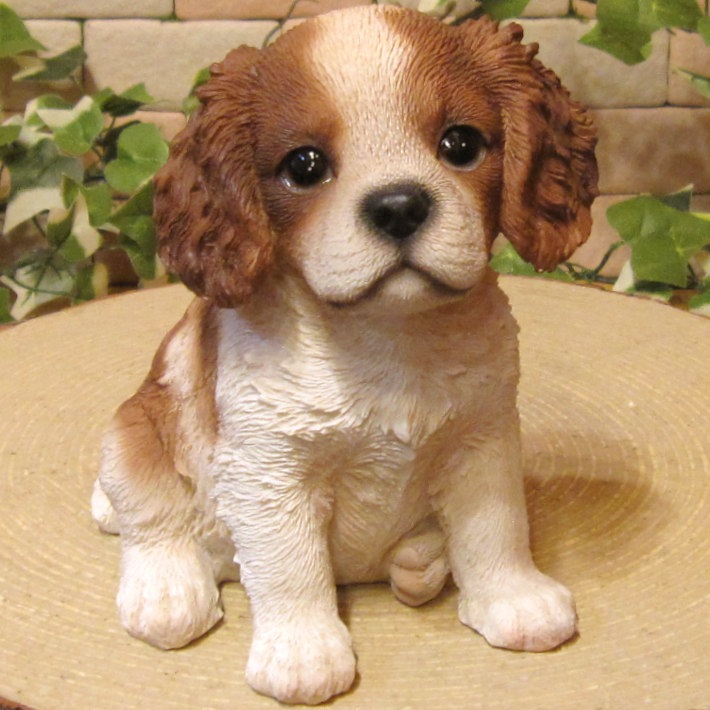 ΥƥꥢˤΥʥȤȤƤꥢʸʪХꥢҤ̤Υե¤ꡡХꥢ󥰡㡼륺ѥ˥