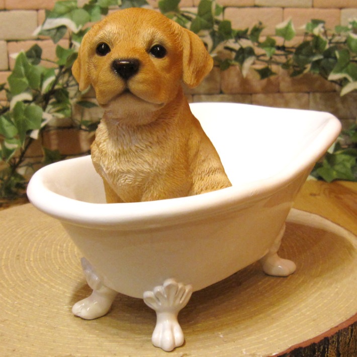 ꥢʸʪХ֡ɥå֥ɡȥС̤Υե奢̤Υ֥ΥƥꥢˤΥʥȤȤƤ